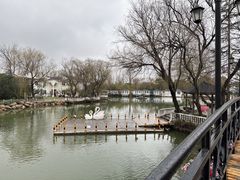 -J Create城市露营咖啡·简餐·宠物(上海动物园店)