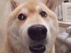 -韩宫宴烤肉·料理(南京江宁万达店)