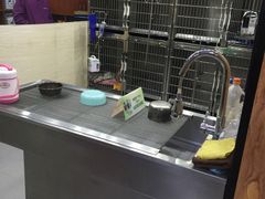 -安安宠医宠物医院·异宠·犬猫内科(岳阳分院)