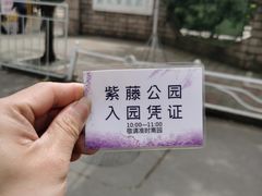 -嘉定紫藤园