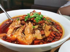-三强鸽子(中原路店)