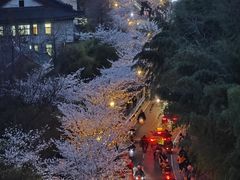 -南京城墙景区
