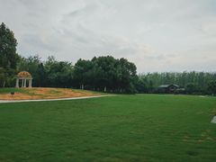 -合肥滨湖国家森林公园