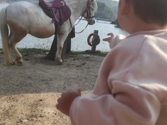 -宁波九龙湖开元度假村