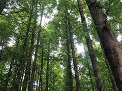 -山王坪喀斯特国家生态公园