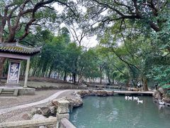 -兰亭风景区