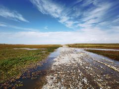 -青海湖国家重点风景名胜区