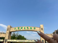 -北京野生动物园