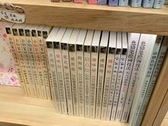 -猫的天空之城概念书店(印象城购物中心店)