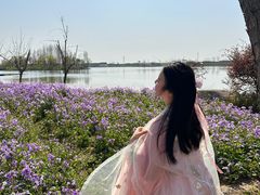 -杭州湾海上花田景区