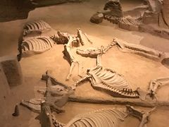 -洛阳周王城天子驾六博物馆