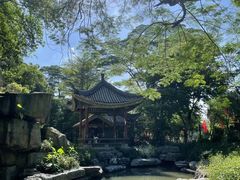 -顺峰山公园