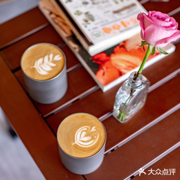 春光正好，赏花逗猫喝一杯咖啡｜南泊山咖啡