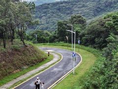 -黄埔油麻山森林公园
