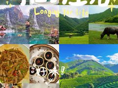 -阿露佳·舌尖上的安吉菜