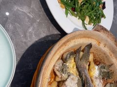 -1937青岛老味道·海肠捞饭·青岛菜(大鲍岛栈桥店)