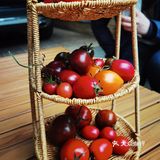 金桂园庭院式咖啡||bamboo coffee