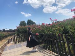 -武汉紫薇都市田园