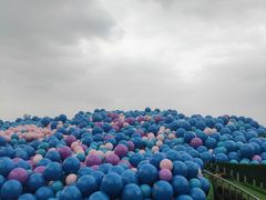 -汉江湾体育公园