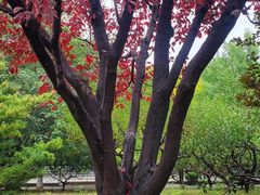 -元大都城垣遗址公园