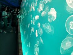 -多彩贵州城极地海洋世界