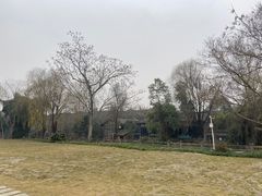 -黄龙溪古镇
