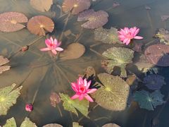 -红色娘子军纪念园