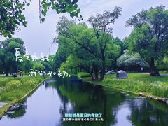-上海共青森林公园