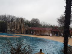 -金孔雀温泉旅游度假村