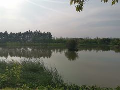 -艾溪湖湿地公园