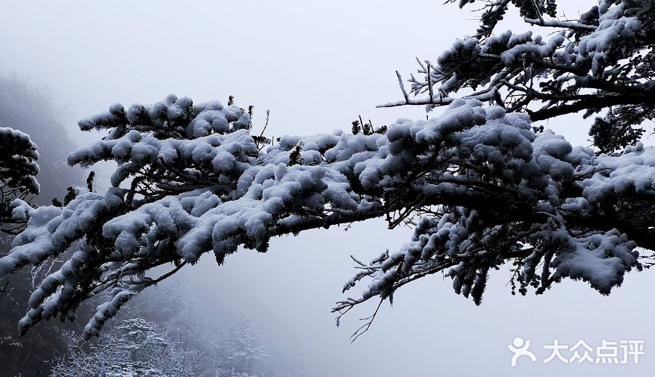 木格措雪景图片