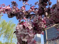 -元大都城垣遗址公园