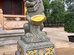 -广东圆玄道观