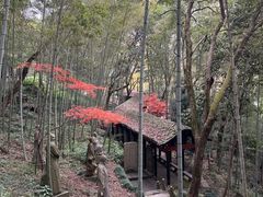 -严子陵钓台(富春江小三峡)