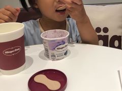 -哈根达斯(西安高新店)