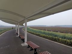 -南京枫彩漫城