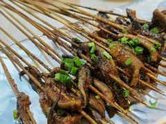 鳝鱼-晓靖轩烧烤(沙河风情店)