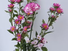 -北京花见餐饮管理有限公司