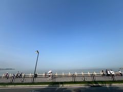 -野狸岛