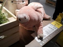 -宜家家居(哈尔滨商场店)