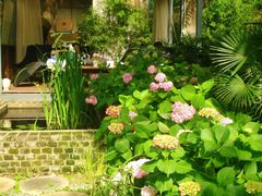 -谷咖啡·鲜花绿植花园餐厅