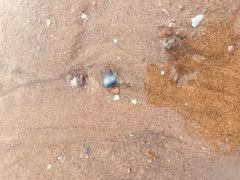 -在海一方公园