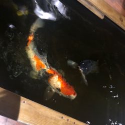 点击看大图 -鳌首刺青纹身 穿孔饰品店
