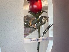 -爱情邮局