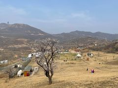 -潭柘厚院(桑峪村店)