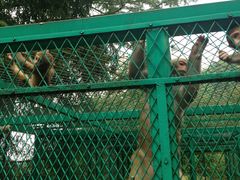 -藏龙百瀑风景区