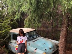 -哈利波特魔法世界