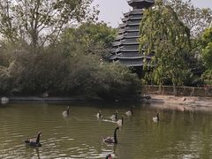 -厦门园林博览苑