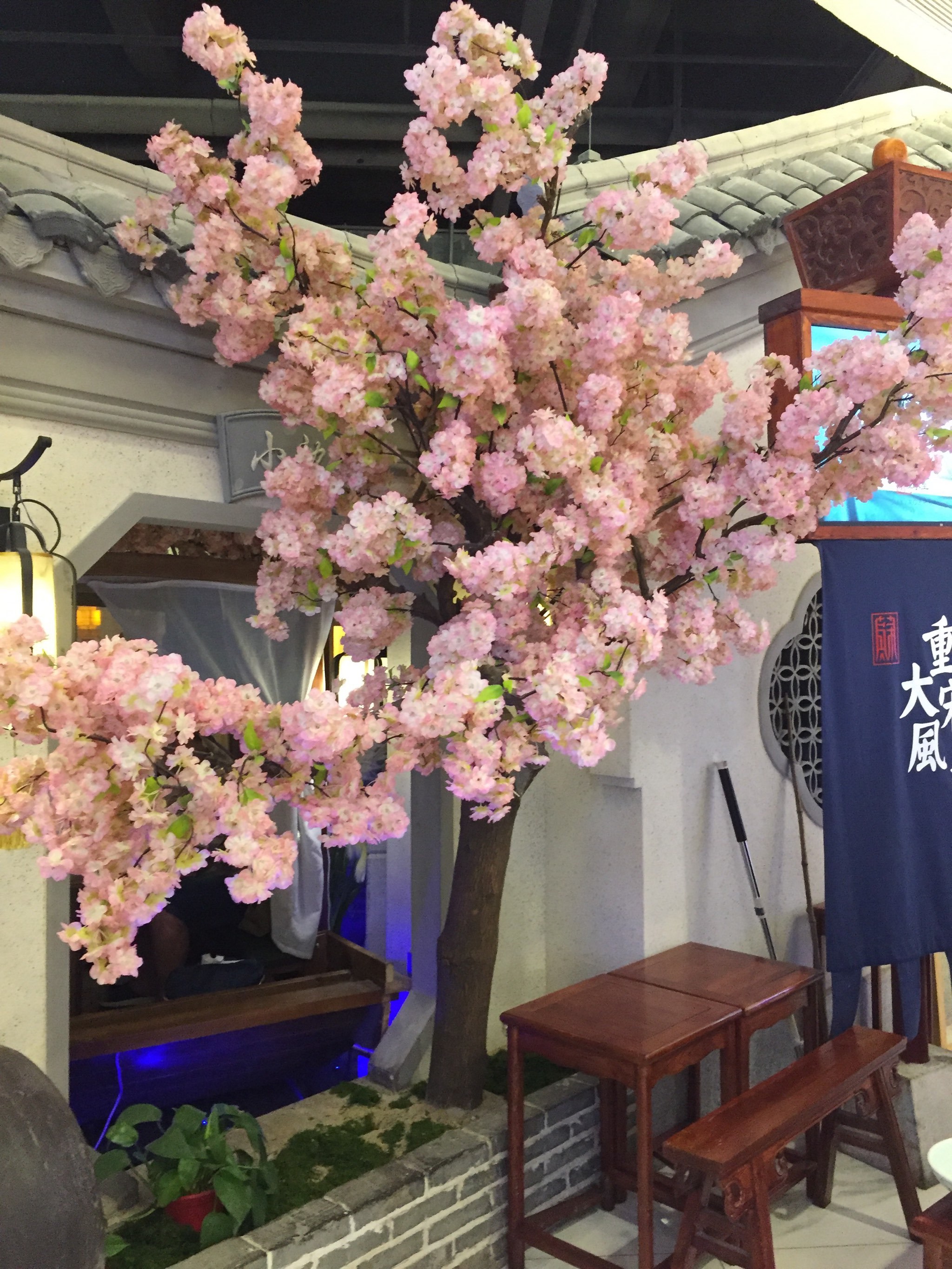 常熟印象城苏小主踩雷