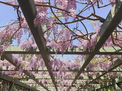 -北京市劳动人民文化宫(太庙)